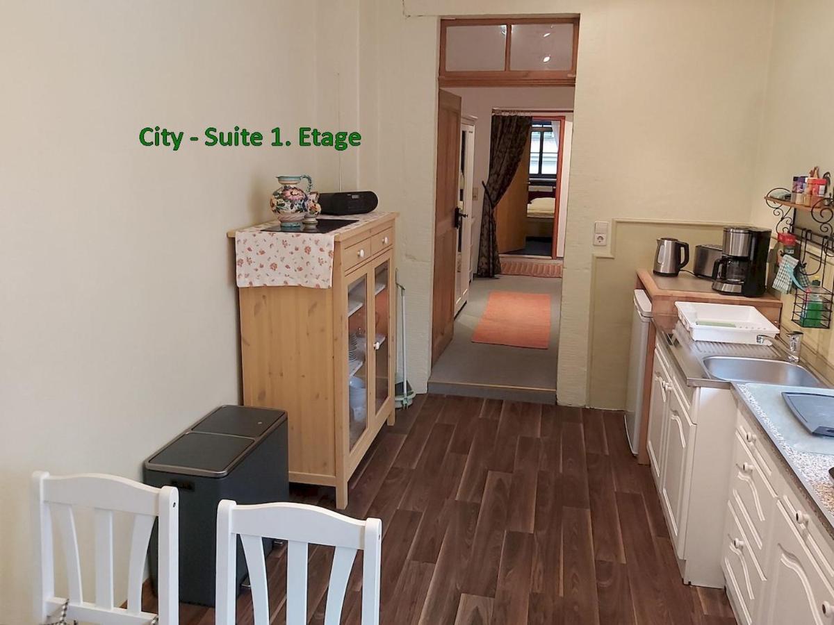 City-Ferienwohnungen-Dresden - Zentral Gelegen Im Haus Louisenstrasse 11 - Dresden-Neustadt Екстериор снимка